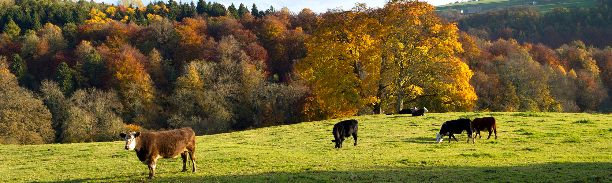 Serving the Farming Community in Lancashire